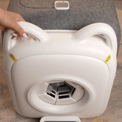 Hands-on adjustment of the entry size on the PawSwing® Pro professional cat grooming house for a custom fit