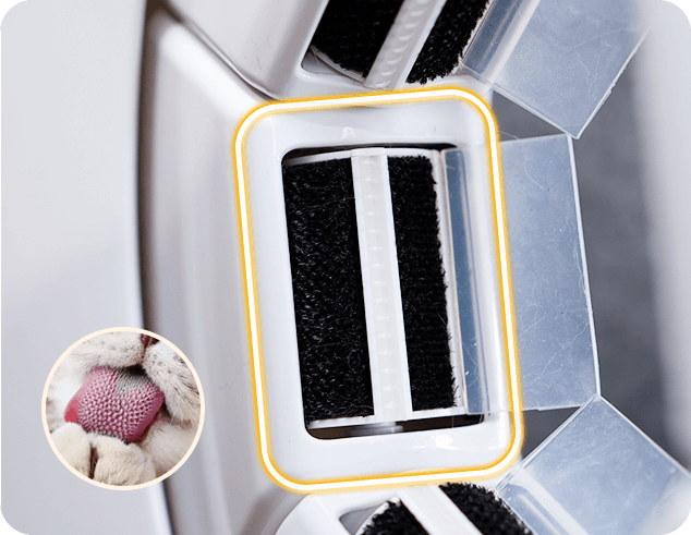 Essential PawSwing® cat grooming items organized for easy access during your pet's grooming routine