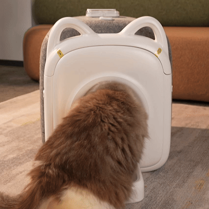 A long-haired cat enters the PawSwing® Pro automatic cat groomer for a hands-free, safe grooming session