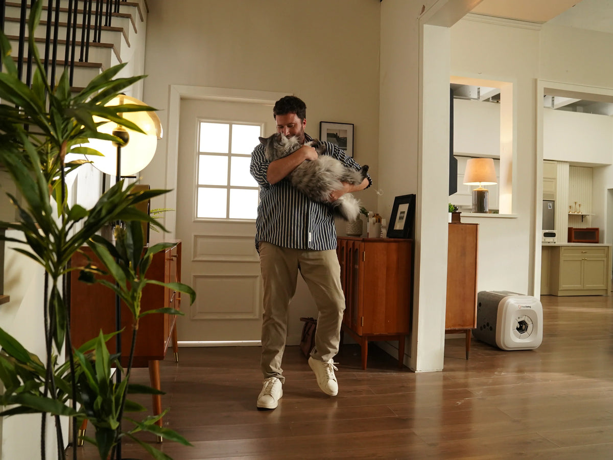 Benefits of Owning a Cat 8 Reasons Cats Make Great Pets