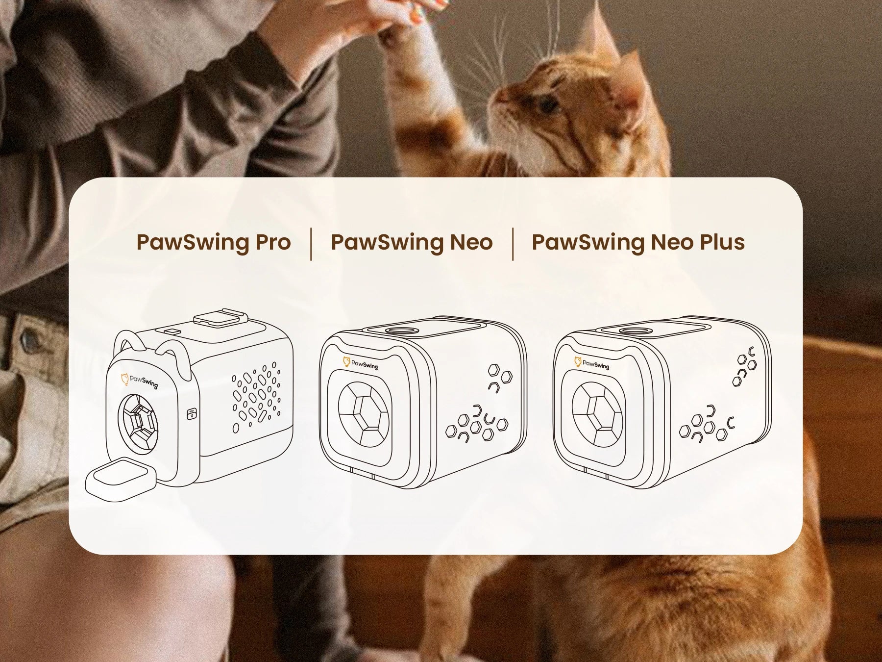 How to Set Up Your PawSwing Cat Groomer (Pro, Neo & Neo Plus)