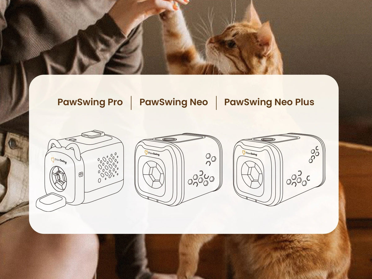 How to Set Up Your PawSwing Cat Groomer (Pro, Neo & Neo Plus)