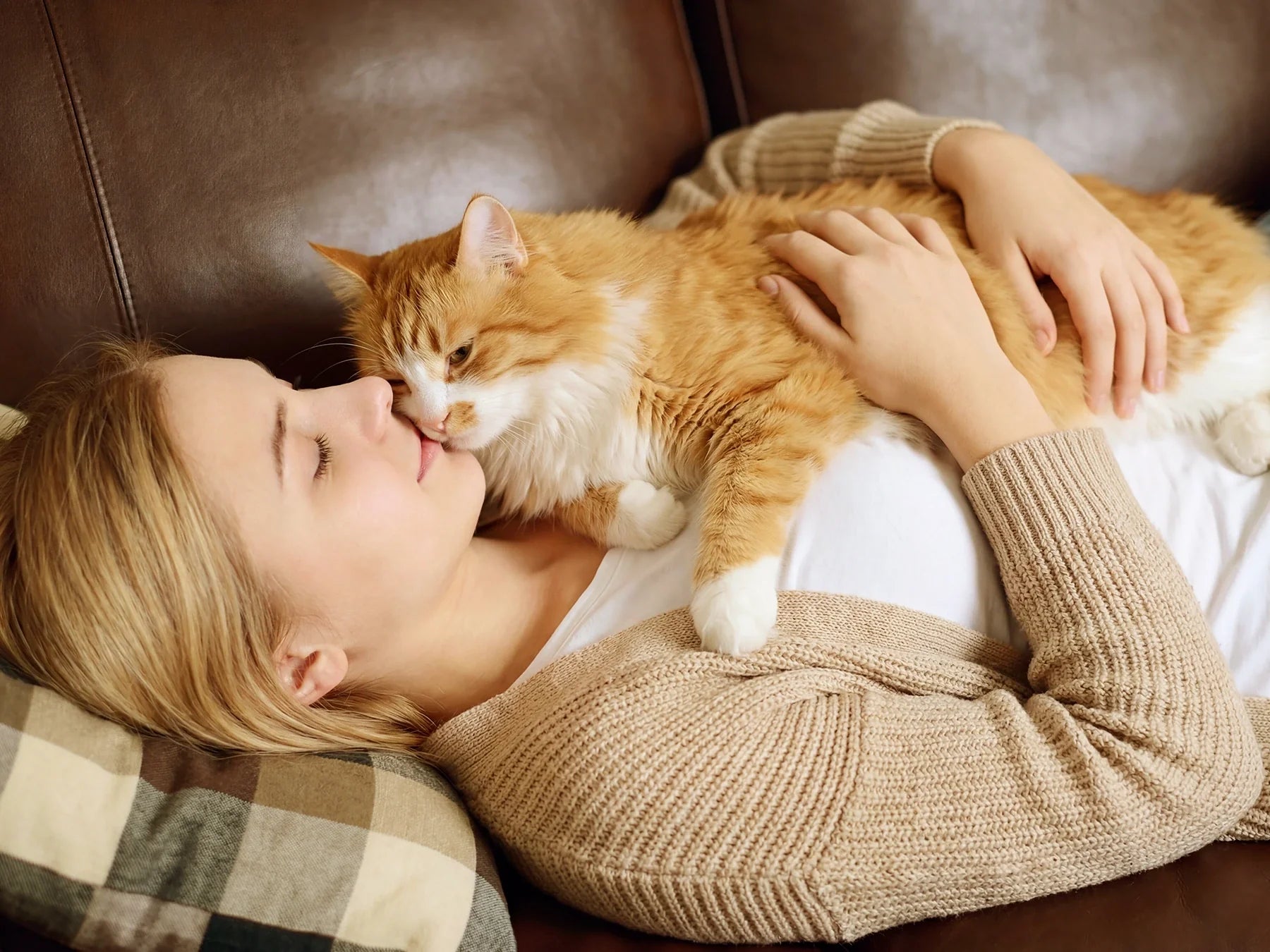 How Long Do Cats Live? What Every Cat Owner Should Know About a Cat Self Groomer Lifestyle