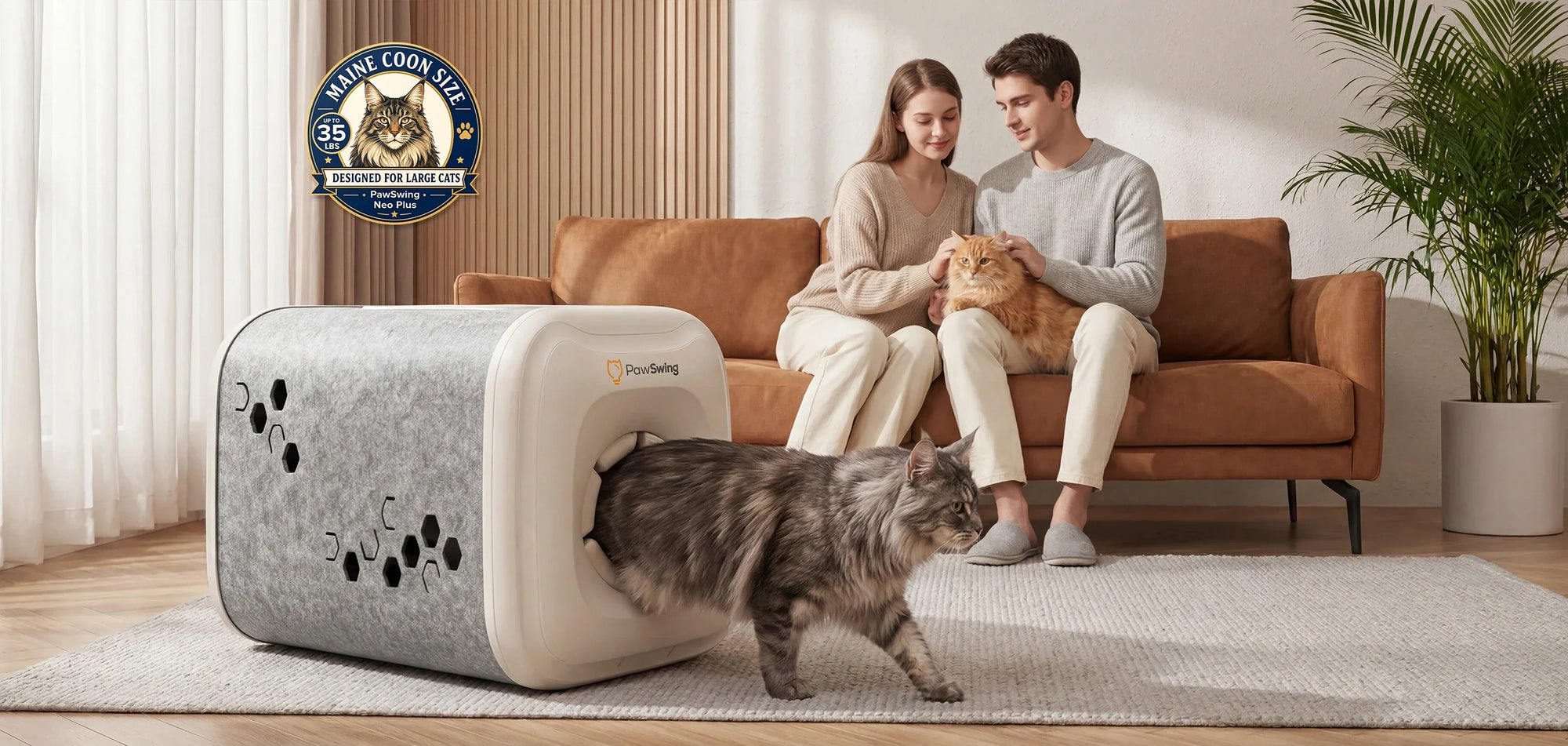 Why Do Cats Groom Themselves? The Complete Guide to Understanding This Essential Behavior