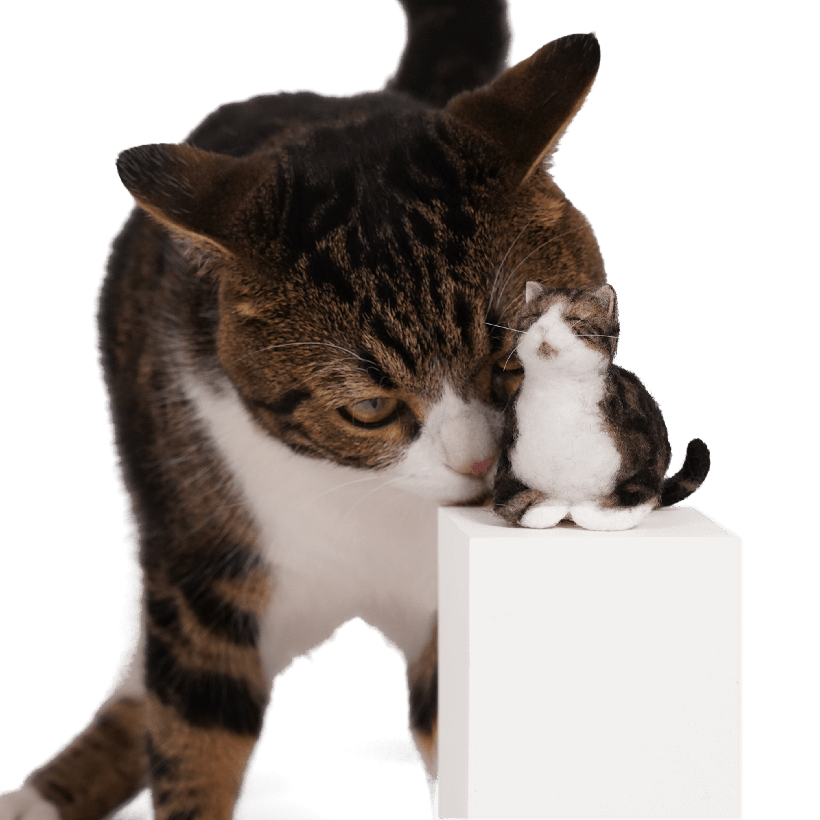 A lifelike PawSwing® custom cat doll posed next to its real-life inspiration for a stunning comparison