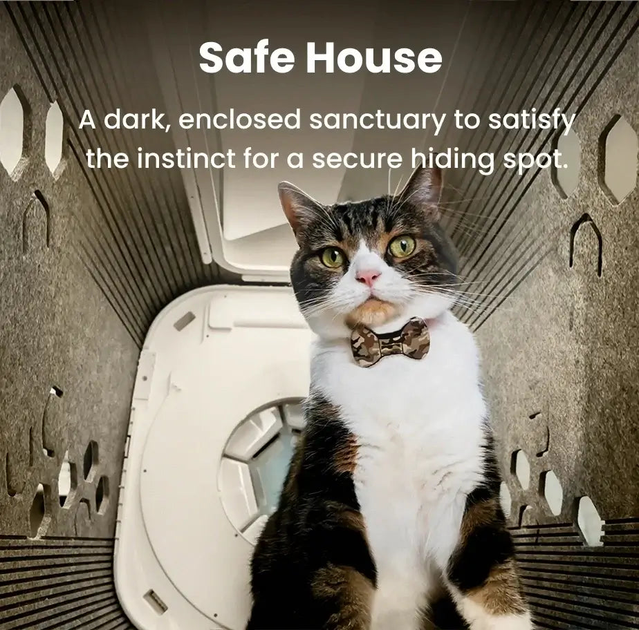Interior view of a cat inside the PawSwing® neo self grooming cat house providing a secure, dark sanctuary