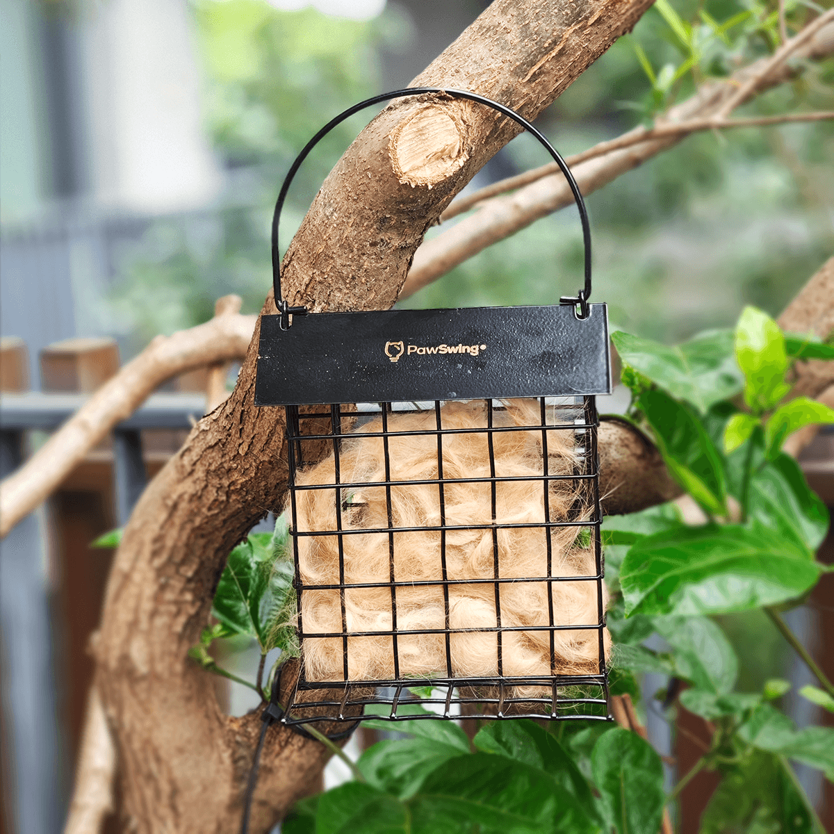 A durable PawSwing® cat hair suet cage securely attached to a branch, offering fur to nesting birds