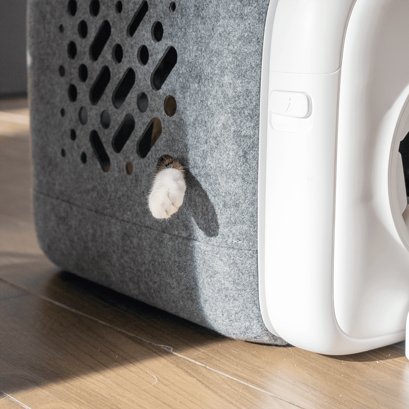 A cat walking towards the PawSwing Neo Plus, showing how this automated cat self-groomer integrates into a modern home to handle daily shedding