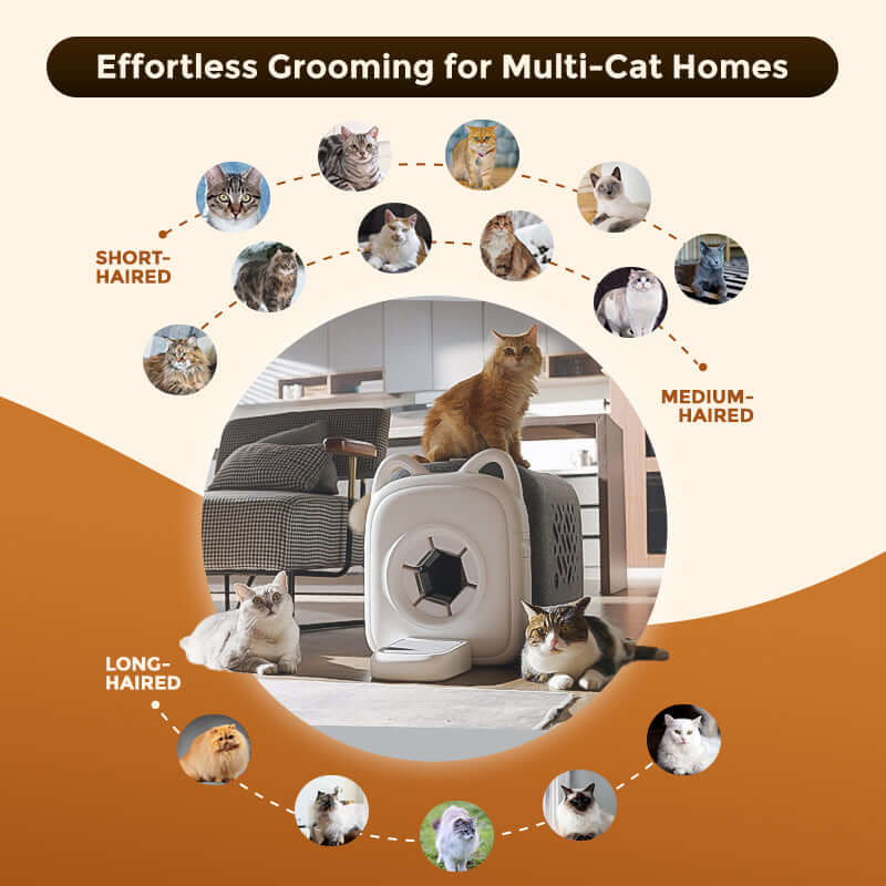 An infographic titled "Effortless Grooming for Multi-Cat Homes" featuring the PawSwing self grooming cat house, showing its effectiveness for short-haired, medium-haired, and long-haired breeds
