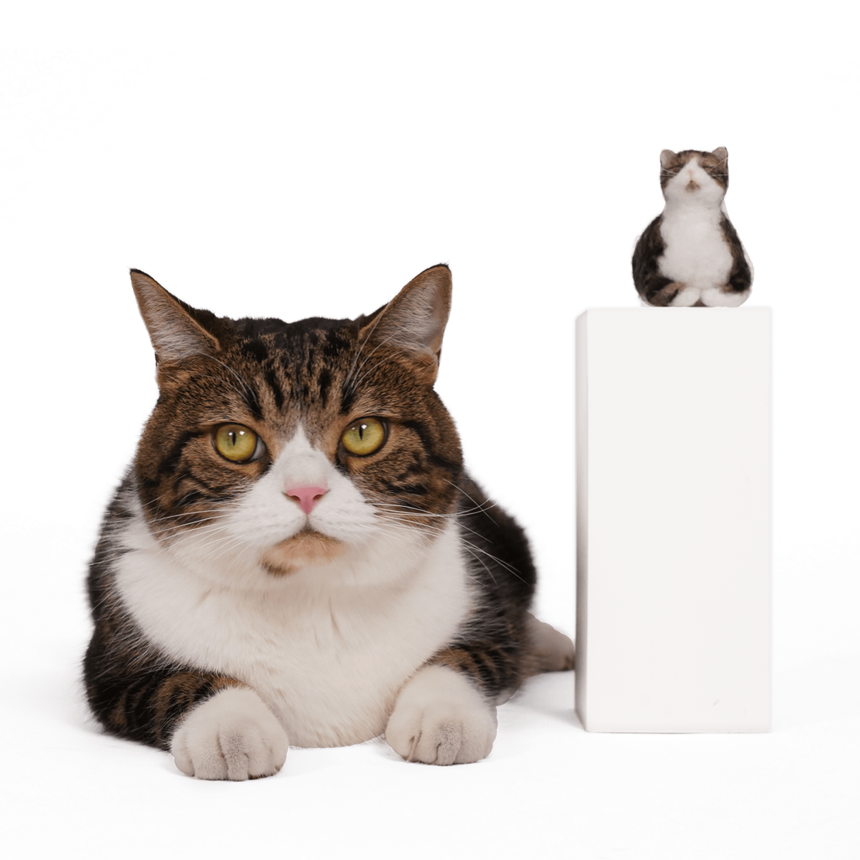 Close-up of the delicate needle-felted texture on a PawSwing® custom cat doll