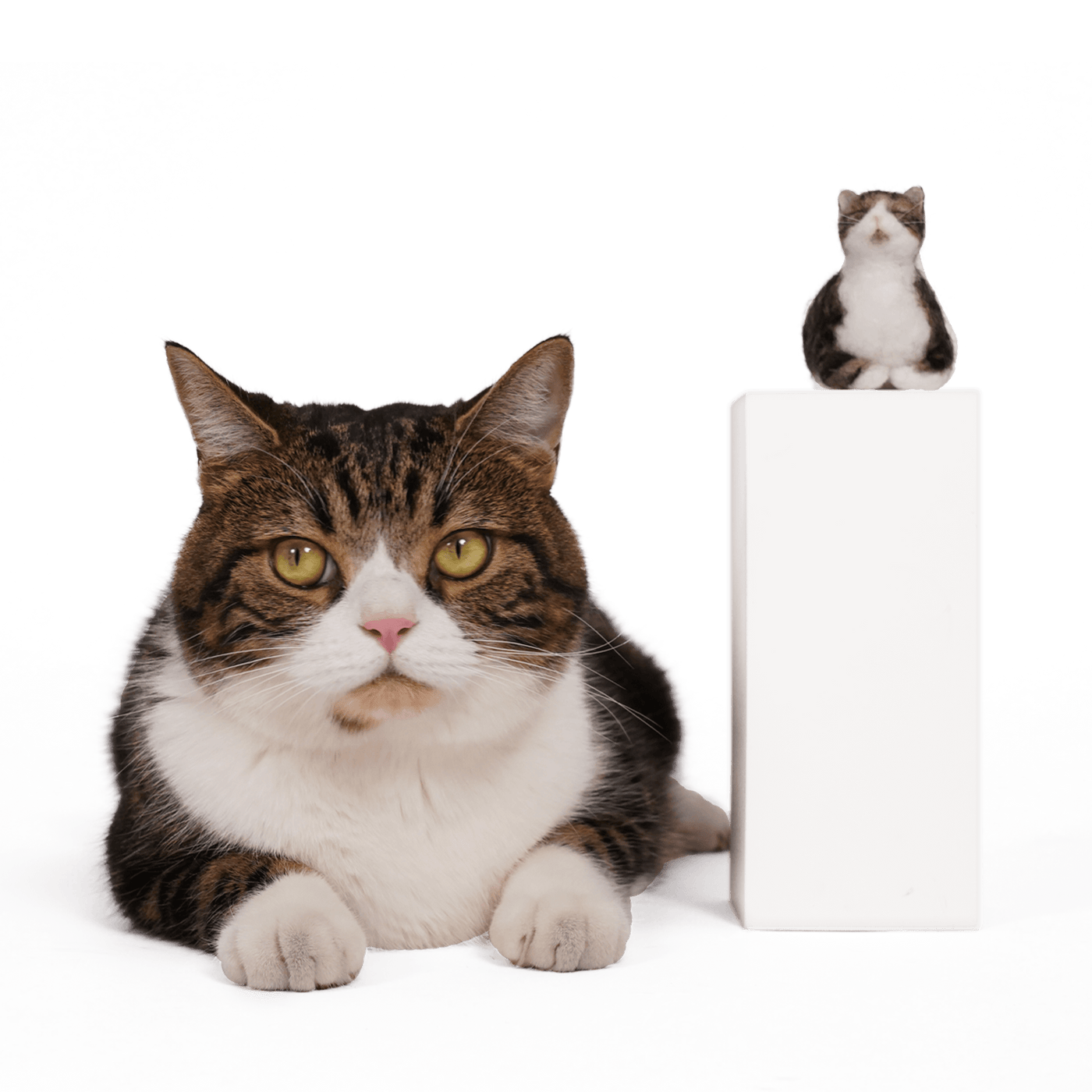 Close-up of the delicate needle-felted texture on a PawSwing® custom cat doll