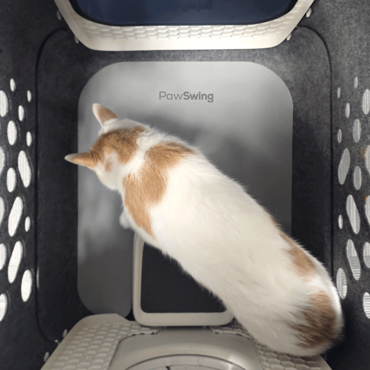 Top-down view of a cat enjoying the soft surface of the PawSwing® cat box mat