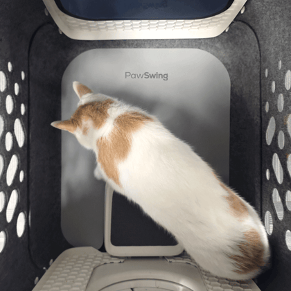 Top-down view of a cat enjoying the soft surface of the PawSwing® cat box mat
