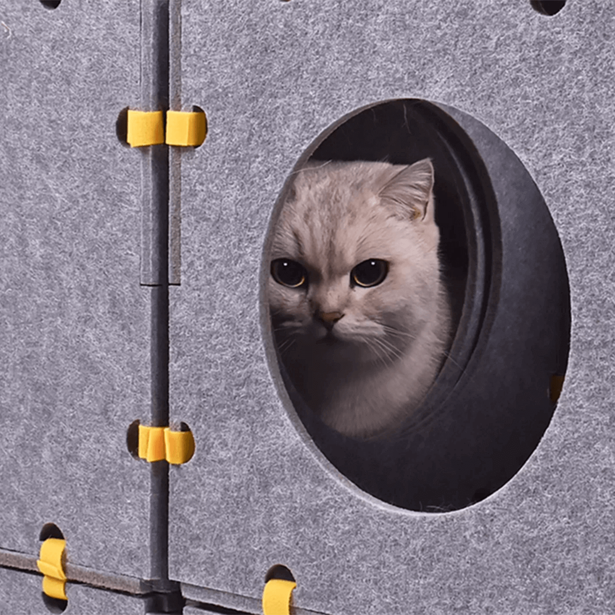 2025 Best Cat Fort: PawSwing MagicCore Solo Catbox