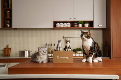 Various felt cat toys by PawSwing® that serve as a timeless keepsake for your beloved feline companion