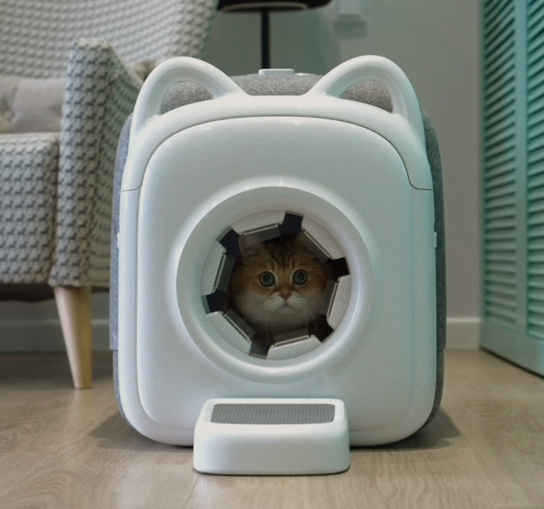 A cat peeks through the entrance of the Pawswing® best cat brush