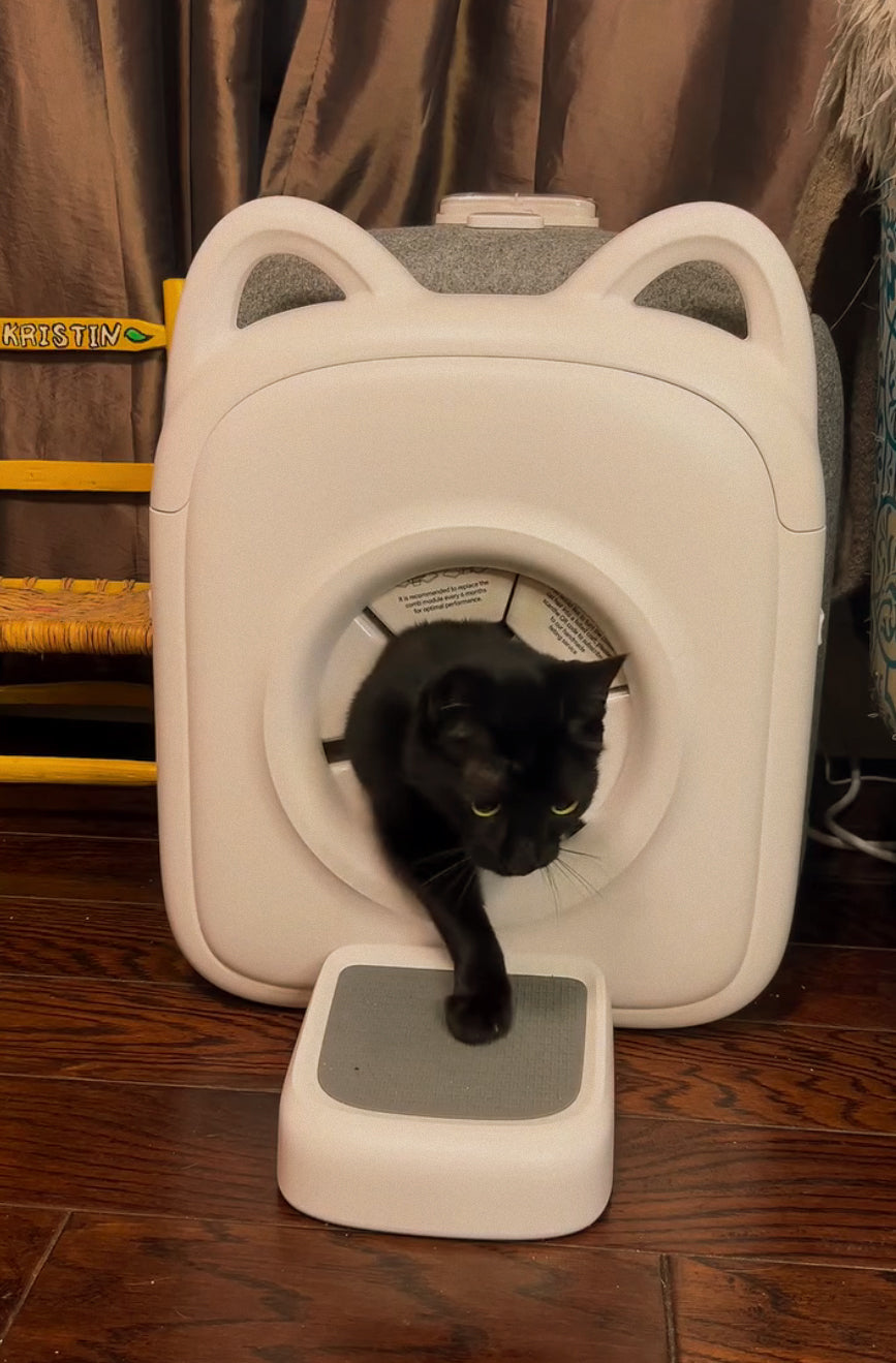 A black cat emerges from the entrance of the Pawswing® cat self groomer