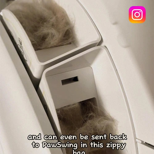 Social media gallery image