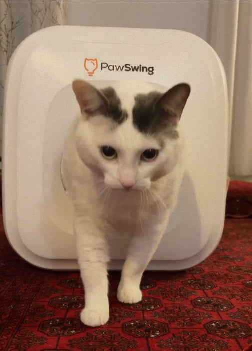 Social media gallery image