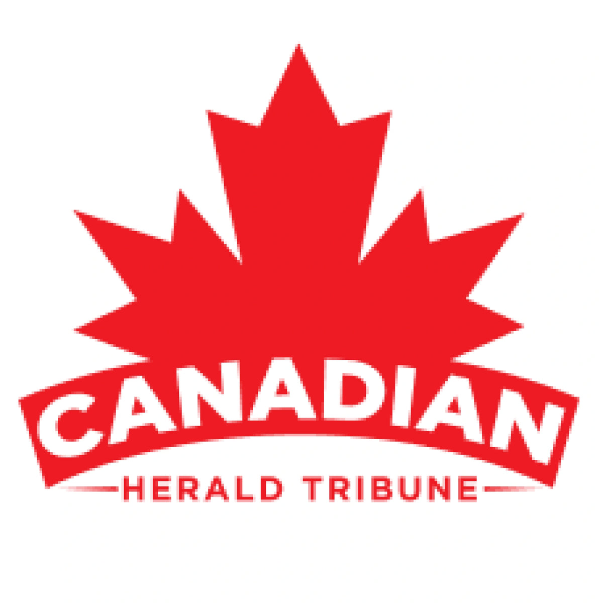 Canadian Reviews Pawswing®cat Grooming