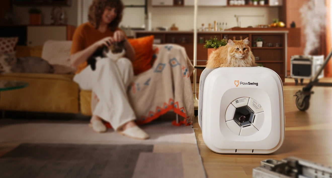 Cat squats on Pawswing® cat grooming supplies