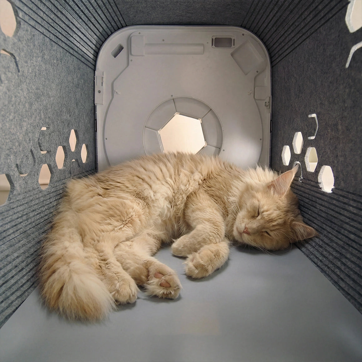 Refresh Felt Shell & Scratcher (Neo Plus)