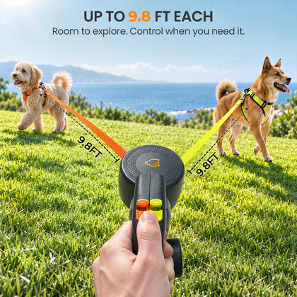 Pawswing Adjustable Dual-Ended Dog Leash