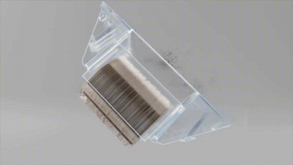 The effectiveness of PawSwing® grooming brushes for cats