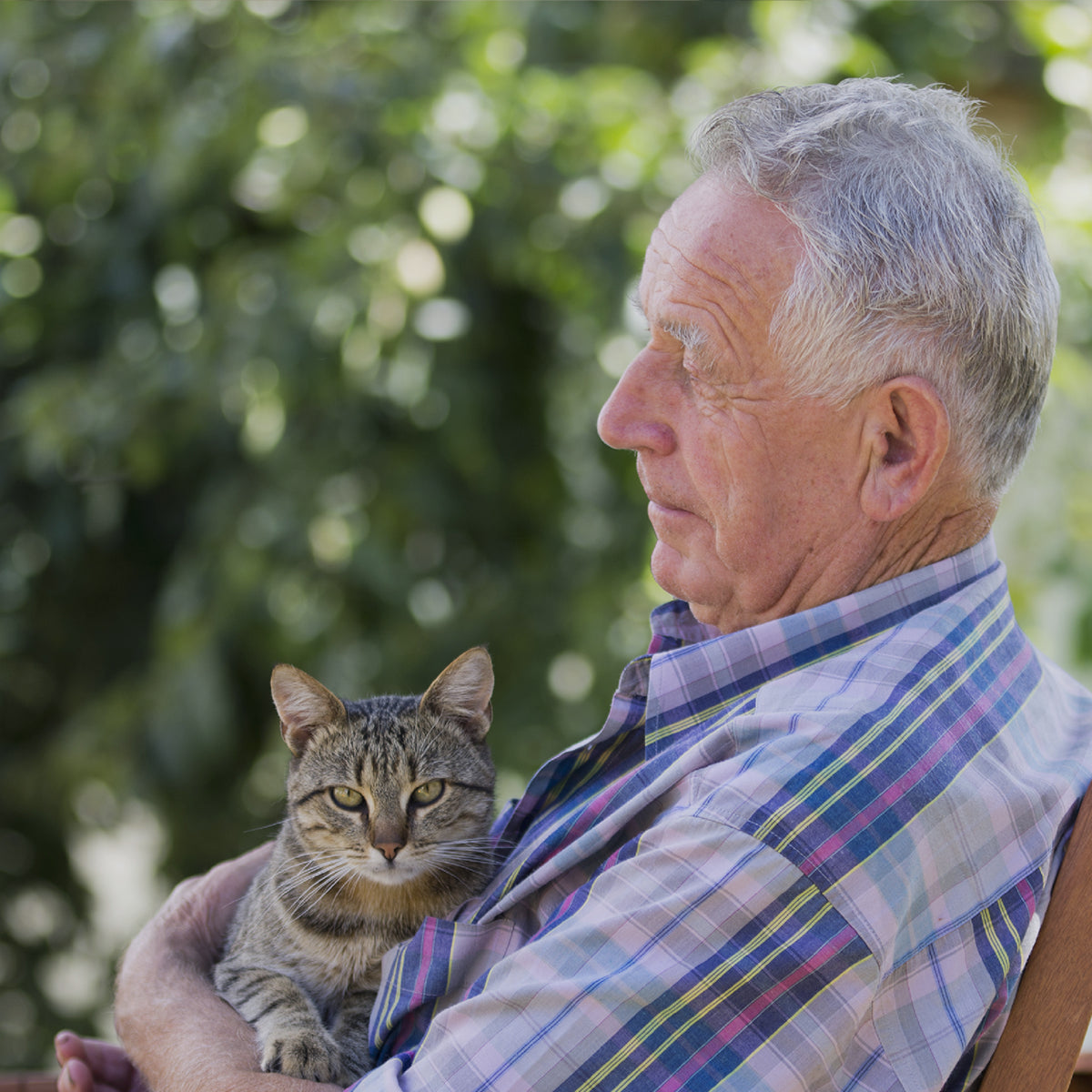 An elderly man relaxes outdoors with his tabby cat, showing how the gentle design of PawSwing® cat grooming tools is suitable for cats and owners of all ages.