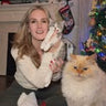 Cat owner holding a cat with a cat in front