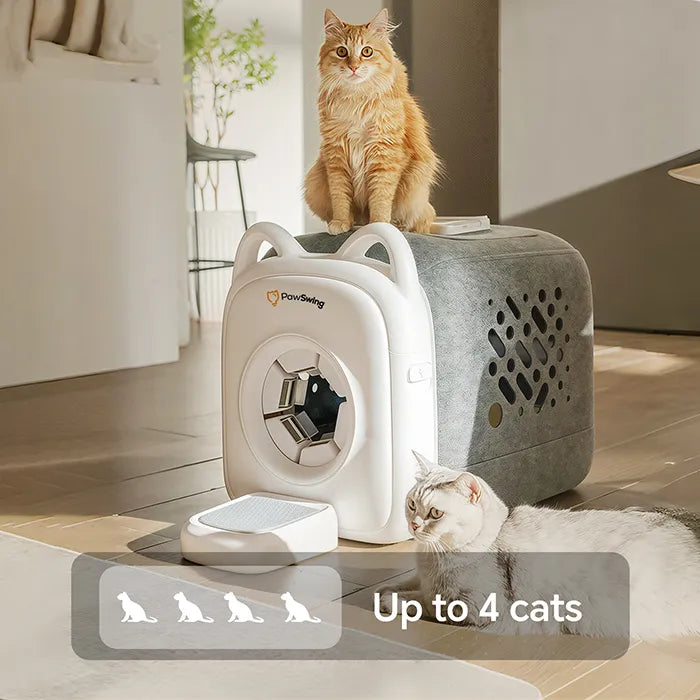 Two cats relaxing around the PawSwing®, the best cat brush solution for multi-cat households, supporting up to 4 cats