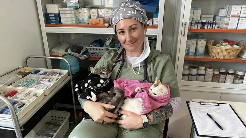 Ellen Carozza Reviews Pawswing®cat Grooming