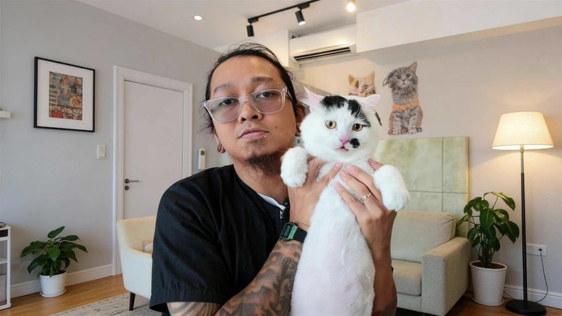 Donnie Pagsanjan Reviews Pawswing®cat self groomer