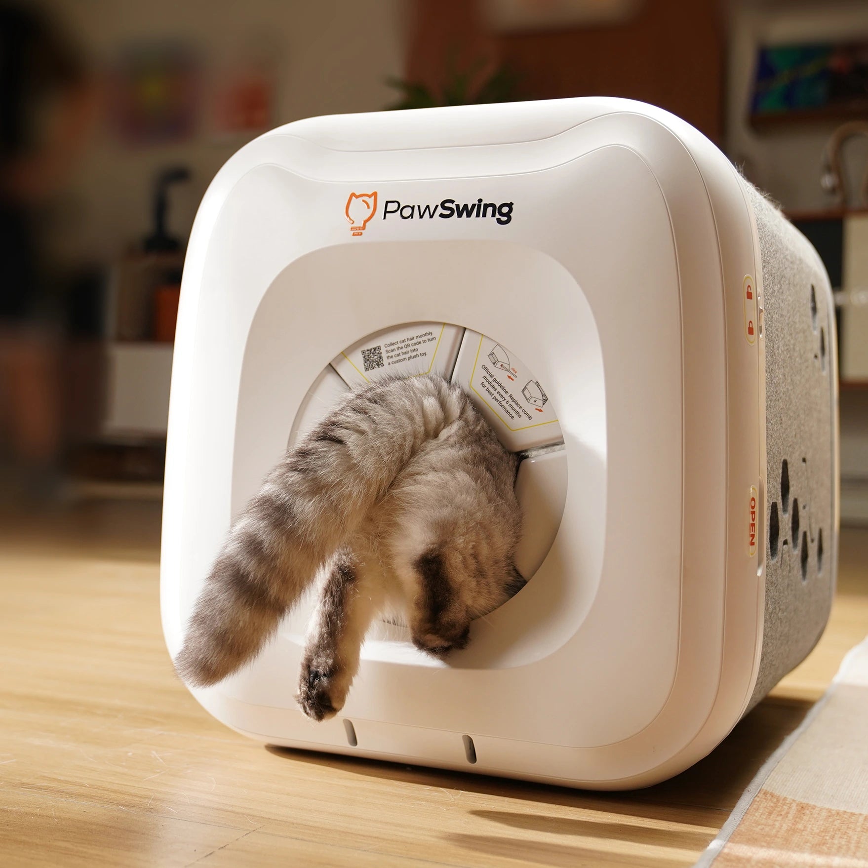 A curious cat enters the PawSwing® neo self grooming cat house for a hands-free grooming session
