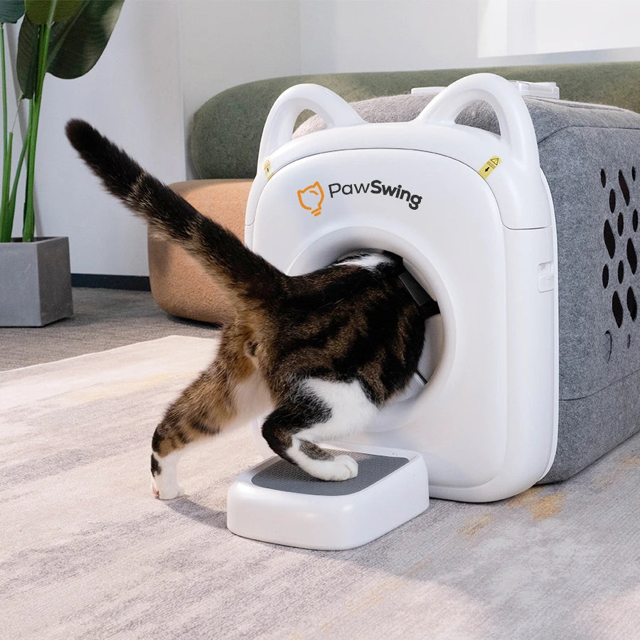 A cat comfortably enters the PawSwing® Pro automatic cat groomer for a hands-free grooming experience
