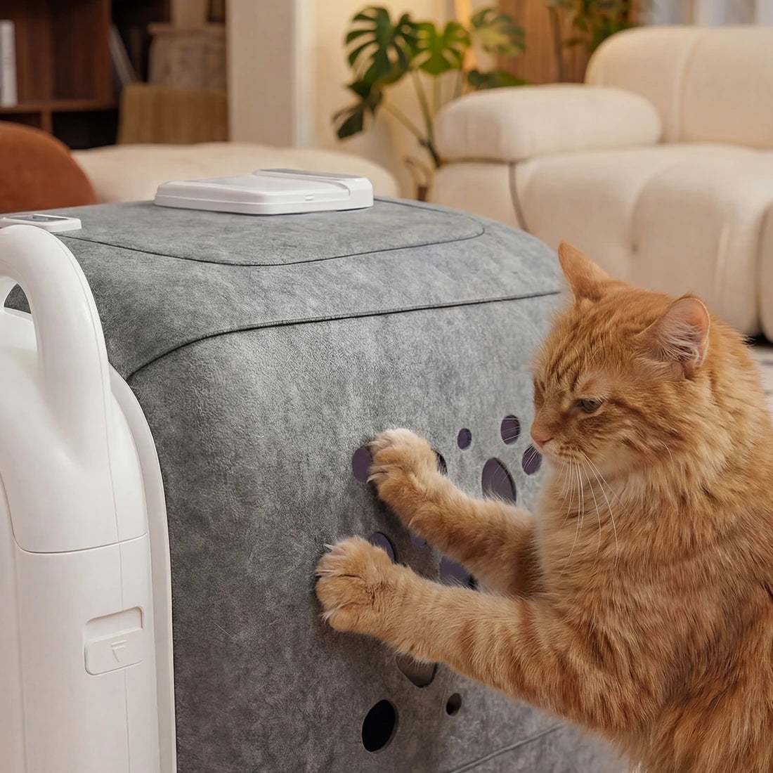 <strong>PawSwing Automatic Cat Self Groomer Unique Design</strong>