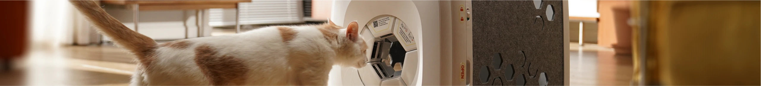 Cat intends to enter PawSwing® neo self grooming cat house