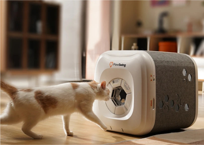 A cat approaches the PawSwing® neo Plus large cat self grooming house for a comfortable grooming session