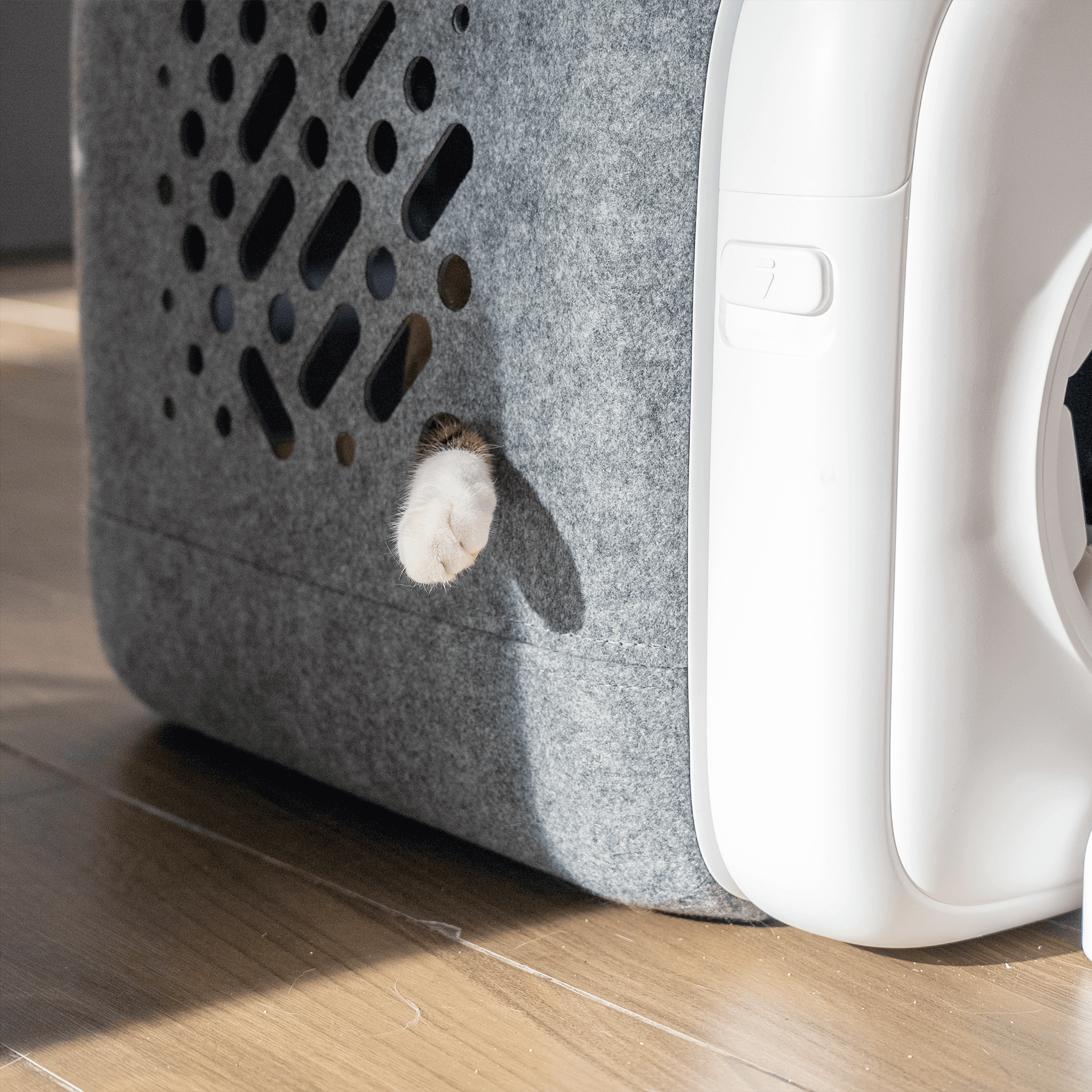 A cat's paw playfully pokes through the felt interactive slots of a PawSwing® Pro automatic cat groomer