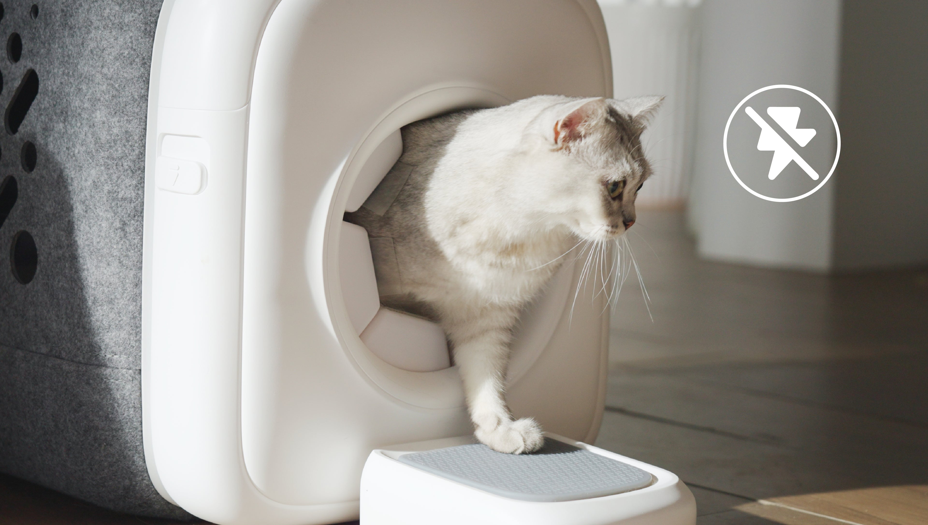 A cat exits the zero-electricity, 100% safe PawSwing® Pro automatic cat groomer after a session