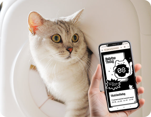 Use the mobile app to track entries and grooming data for the PawSwing® Pro automatic cat groomer
