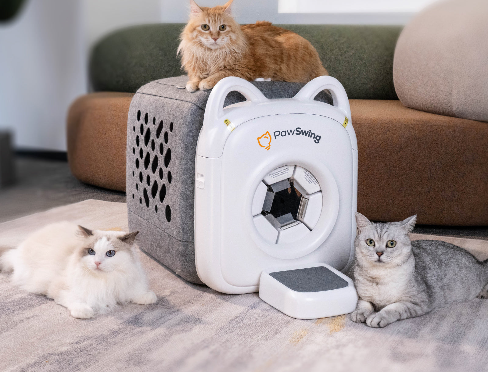 Multiple cats lounge around the stylish PawSwing® Pro professional cat grooming station in a living room