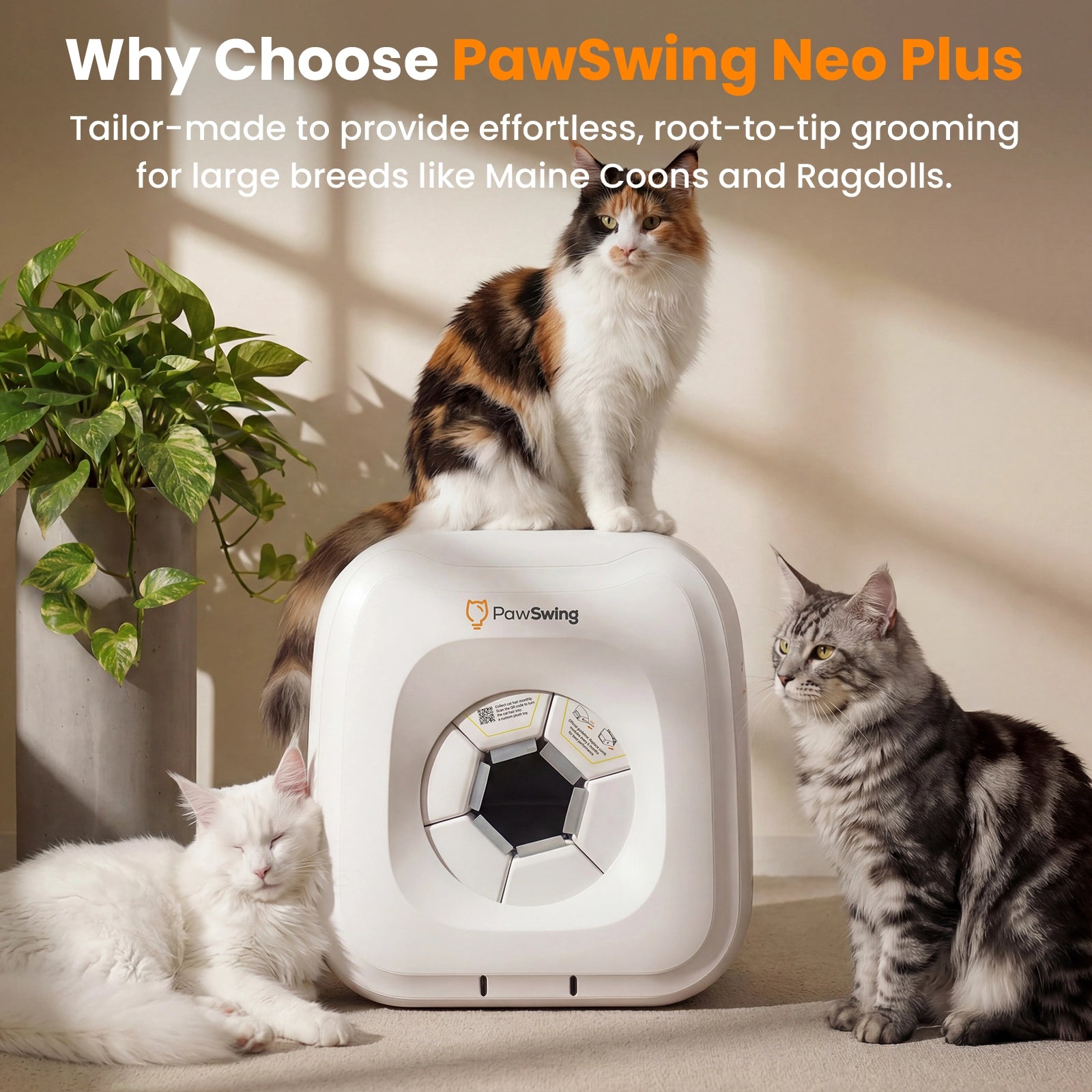 PawSwing Neo Plus front view with height and width dimensions