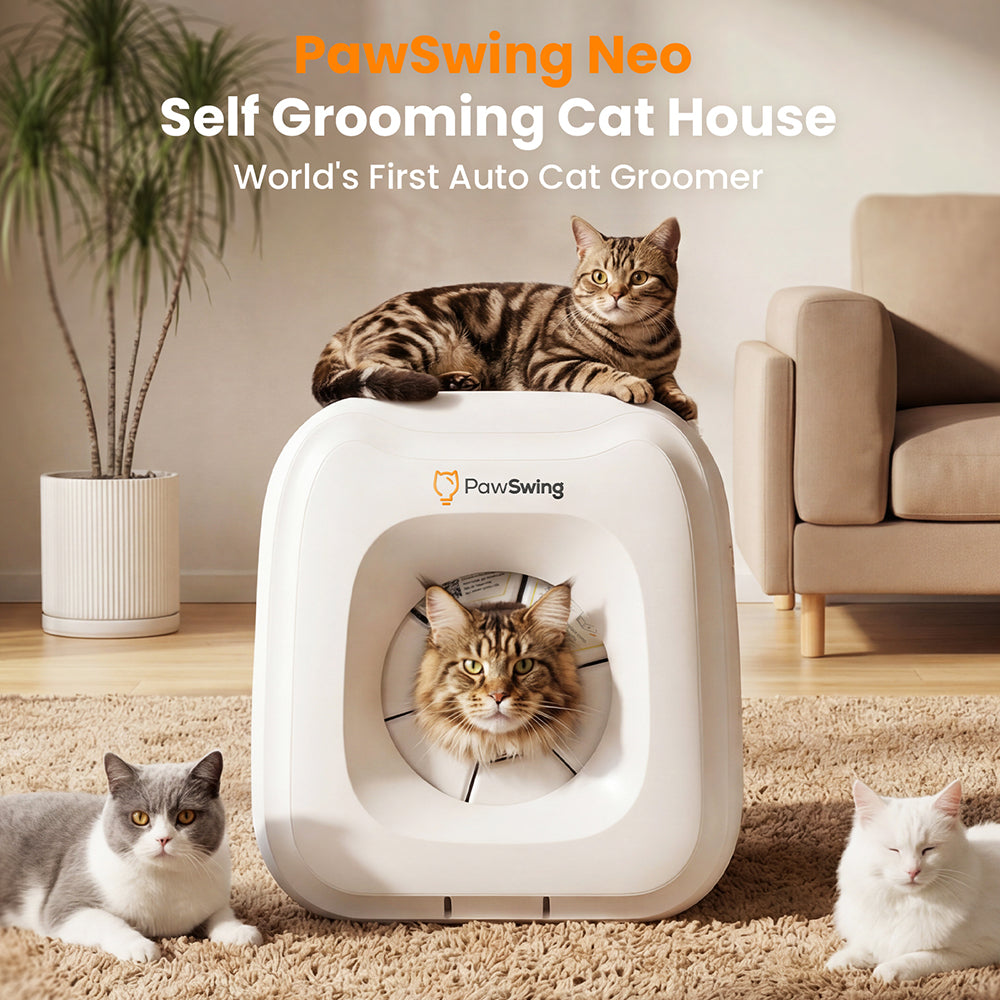 Self Grooming Cat House | Grooming Brush for Cat – PawSwing
