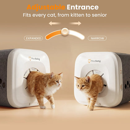 PawSwing Neo
