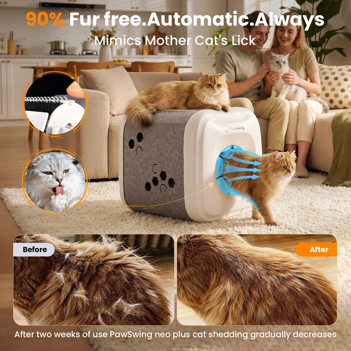 Self Grooming Cat House | Grooming Brush for Cat – PawSwing