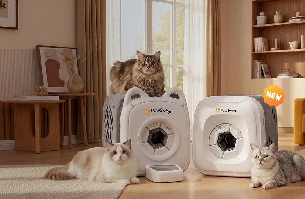 Three cats gather around PawSwing®cat grooming