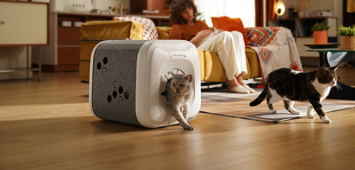 A cat exits the PawSwing® neo self grooming cat house while another walks nearby in a modern home