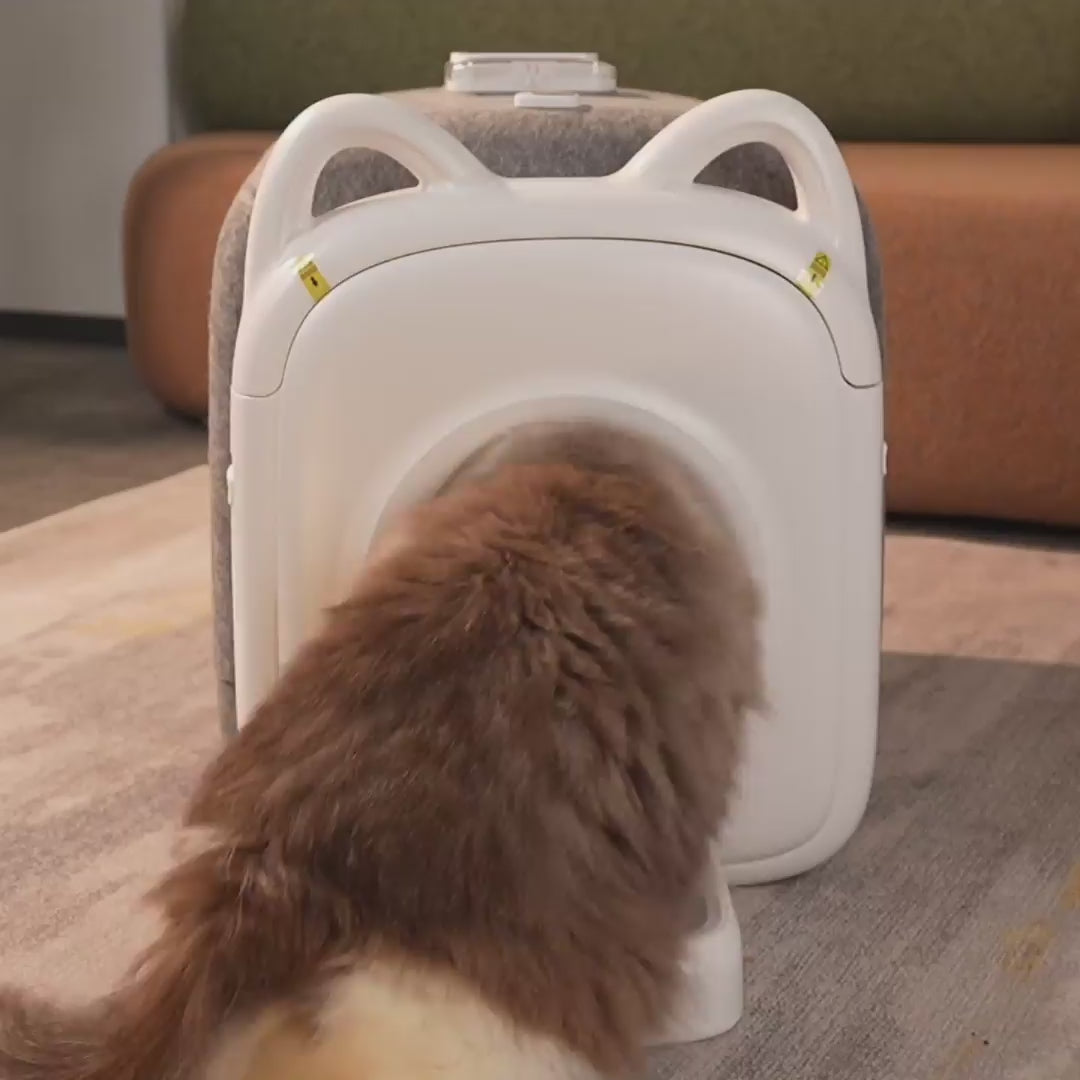 PawSwing Pro