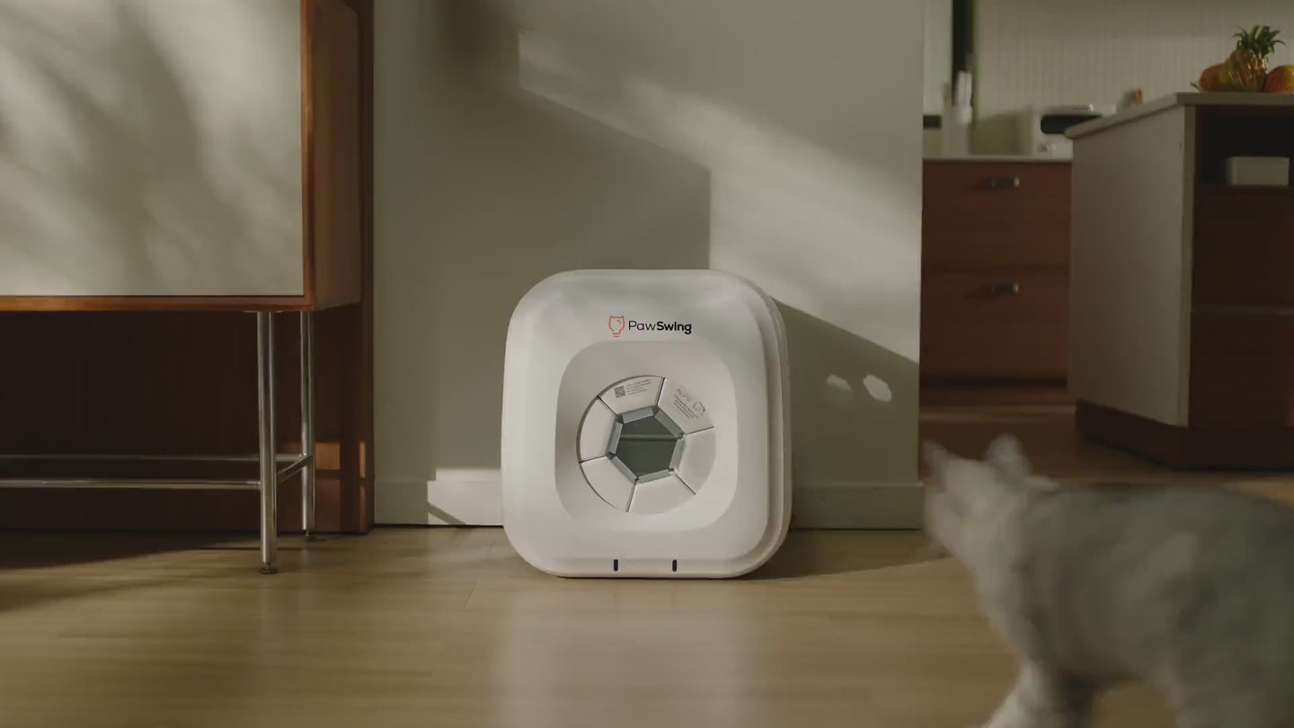 Video poster image